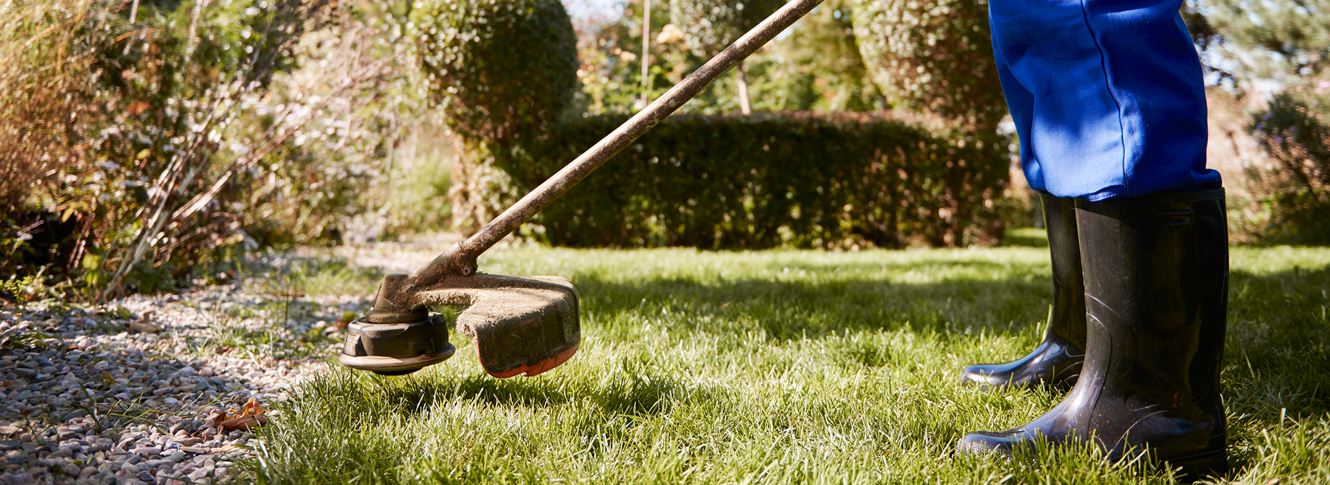 Entretien extérieur et jardin à Saint-Briac-sur-Mer - KEL SERVICES
